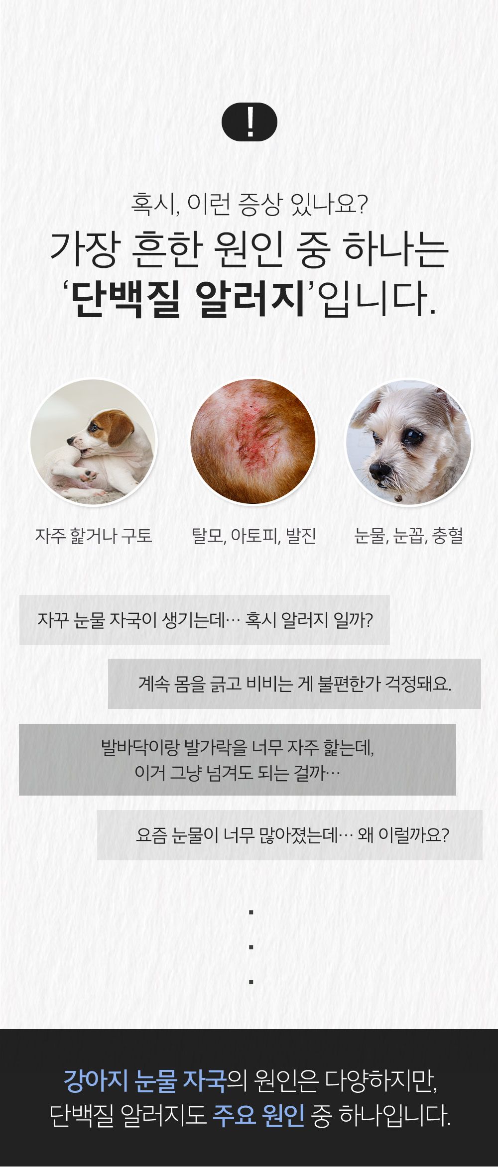 [체험단] 더헬씨 파우팩트 츄 가수분해 덴탈껌 오리고기맛 20g 9번째