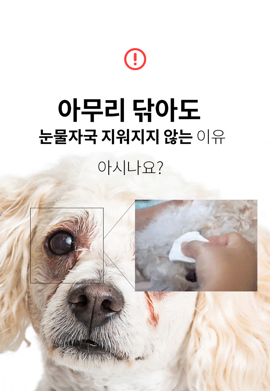 [체험단] 베픈 반려동물 전용 인공눈물 15ml 6번째