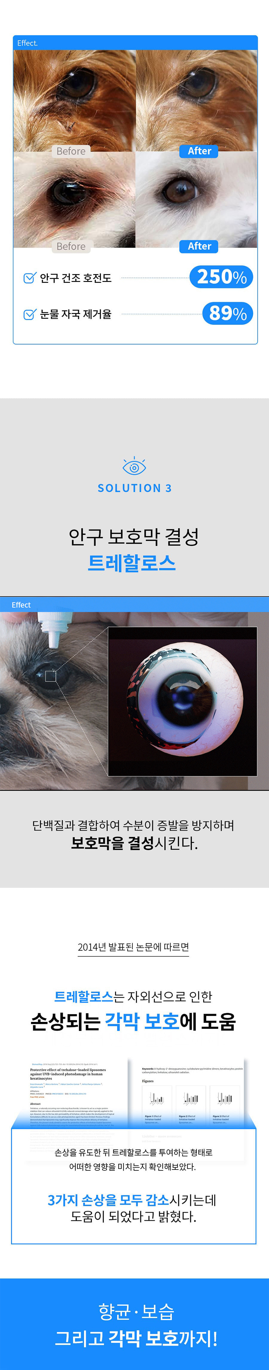 [체험단] 베픈 반려동물 전용 인공눈물 15ml 13번째