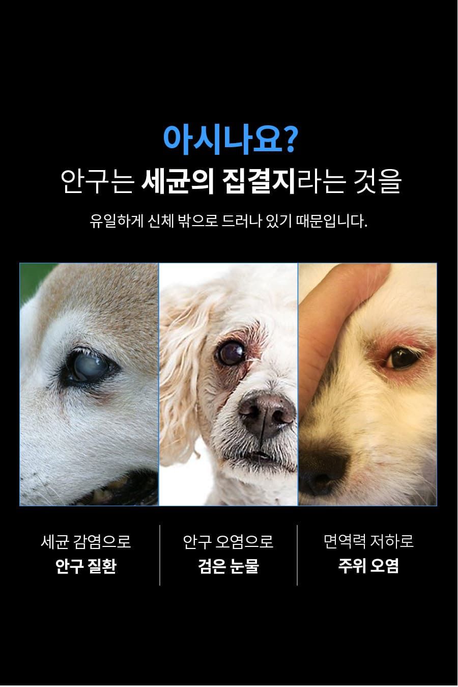 [무료배송] 베픈 반려동물 전용 인공눈물 15ml 11번째