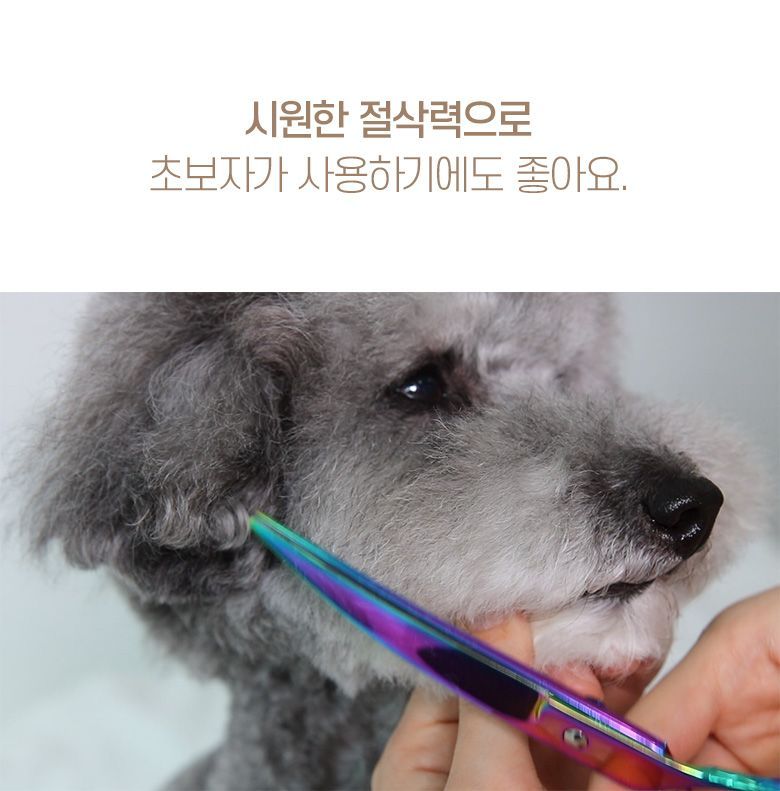 요기쏘 독 오로라 미용가위 세트 5번째