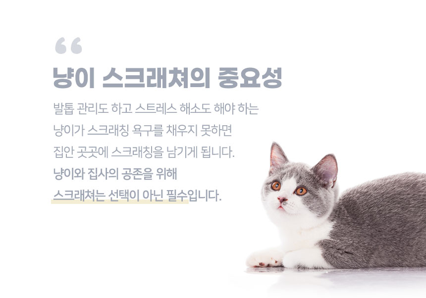 [무료배송] 크림펫 원목 웨이브 소파 스크래쳐 2번째