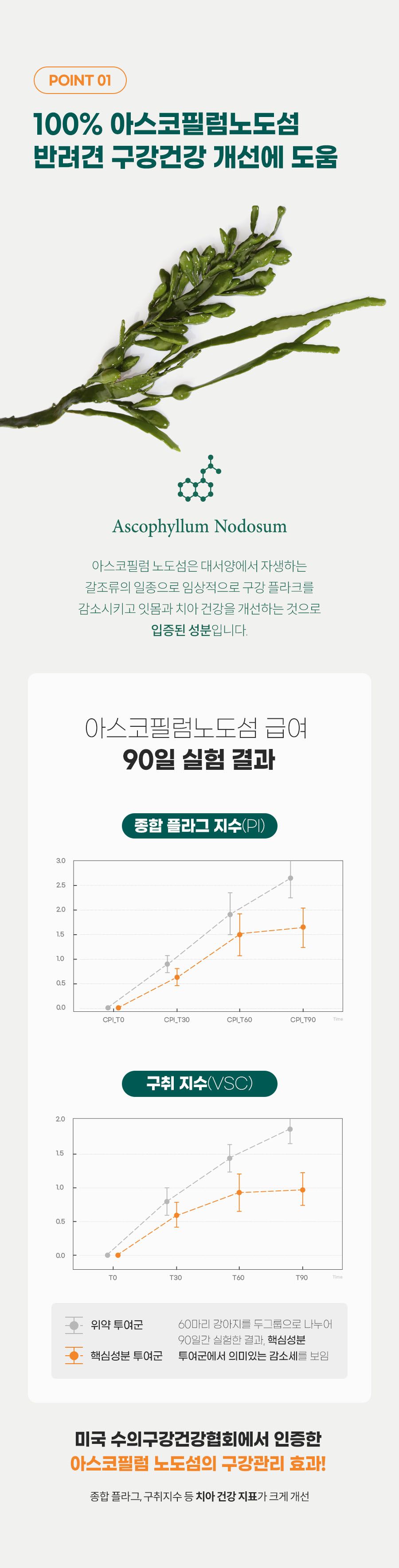 [창고대방출] 플라고 독 벌집 덴탈껌 힙&조인트 150g 4번째