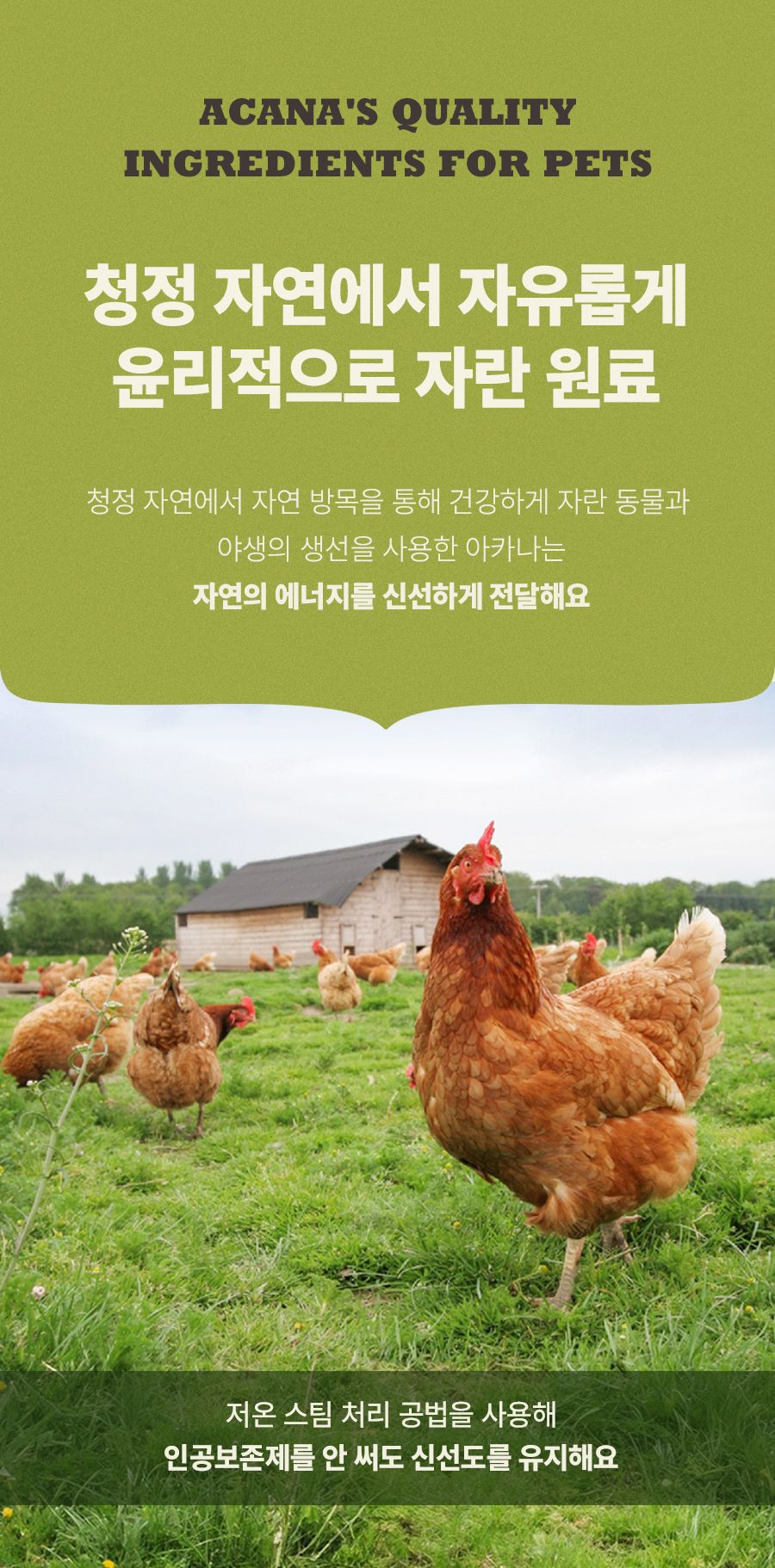 아카나 독 라이트&피트 레시피 2kg 6번째
