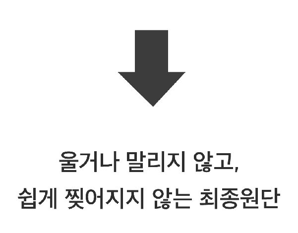 쥬아펫 옜다 용돈 캣닢 장난감 천만원 46번째