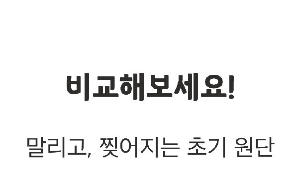 쥬아펫 옜다 용돈 캣닢 장난감 천만원 43번째