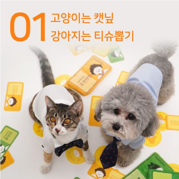 쥬아펫 옜다 용돈 캣닢 장난감 천만원 12번째