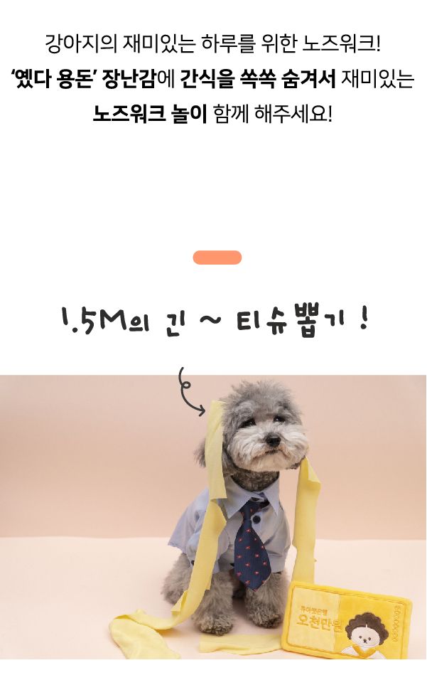 쥬아펫 옜다 용돈 캣닢 장난감 천만원 18번째