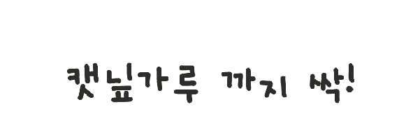 쥬아펫 옜다 용돈 캣닢 장난감 천만원 40번째