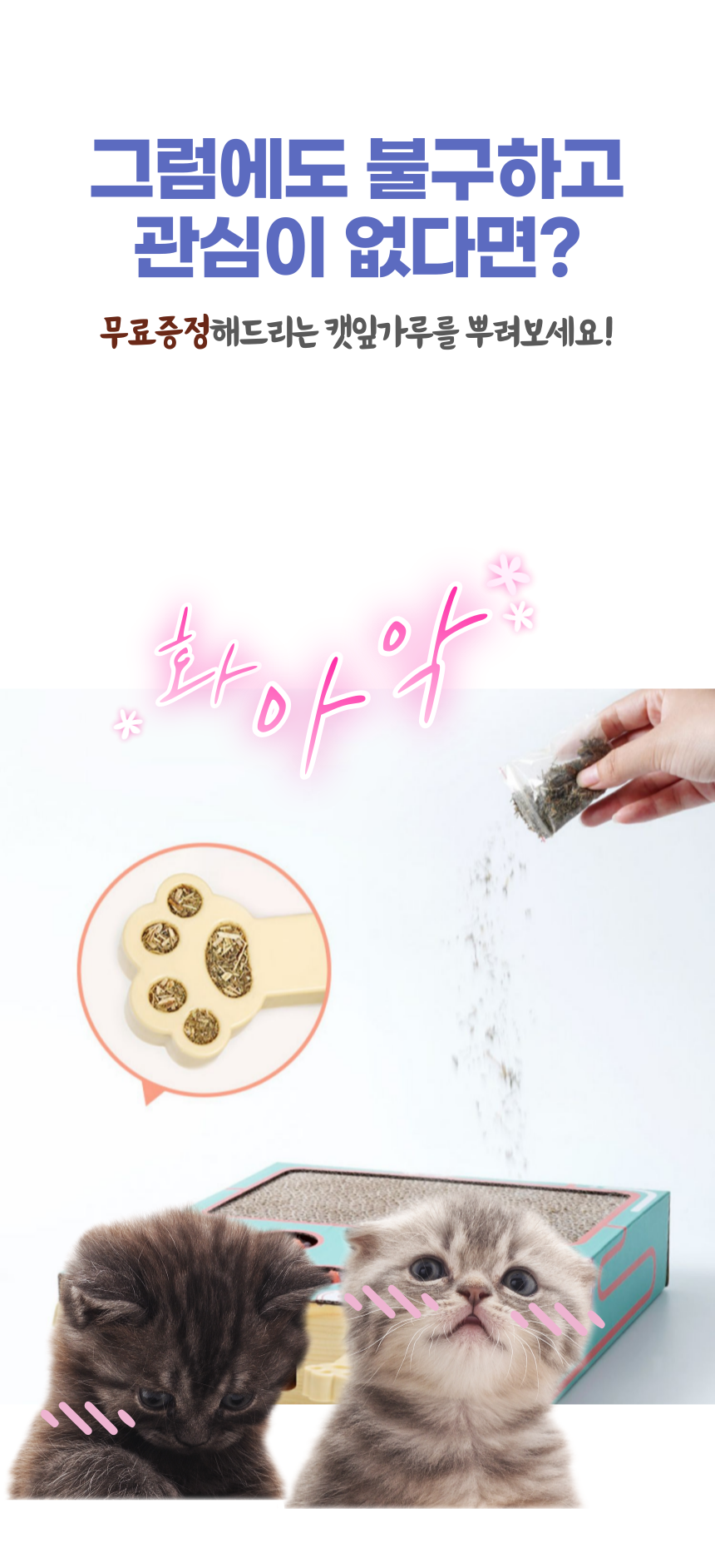 [NEW신상]알뜰펫 두더지잡기 장난감 블루 6번째