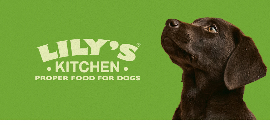 [무료배송] [2개] 릴리스키친 우프브러쉬 스몰 154g 1번째