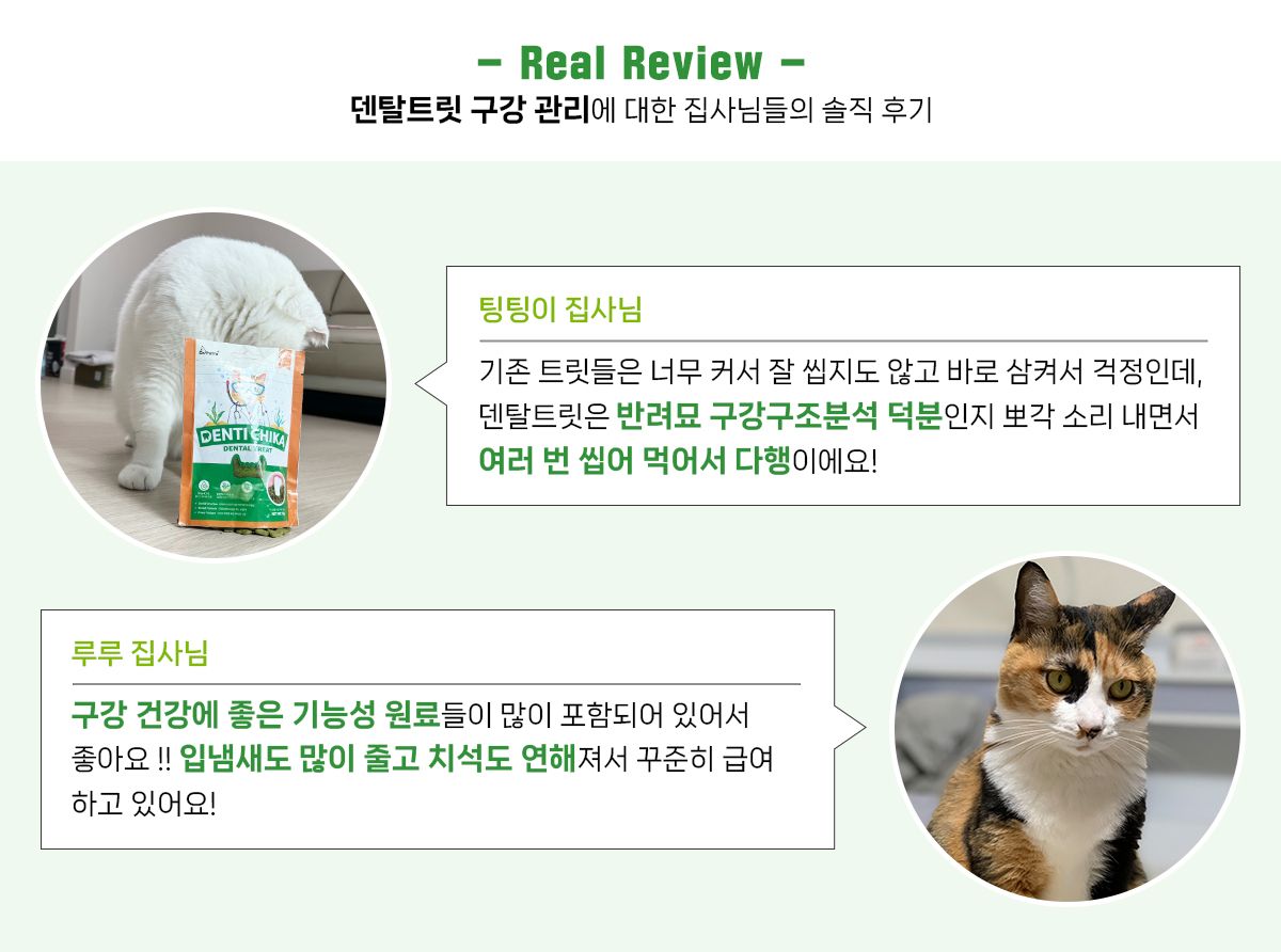 [1+1] 닥터페트라 캣 덴티치카 덴탈트릿 연어맛 70g 20번째