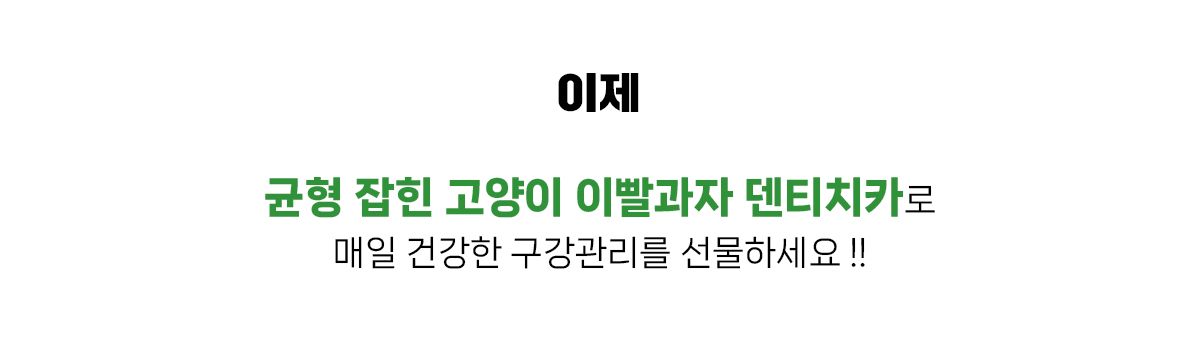[1+1] 닥터페트라 캣 덴티치카 덴탈트릿 연어맛 70g 10번째