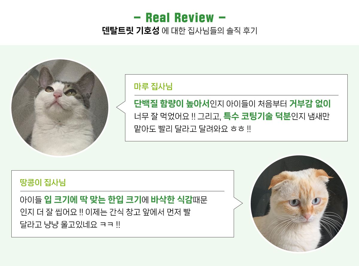 [1+1] 닥터페트라 캣 덴티치카 덴탈트릿 연어맛 70g 36번째