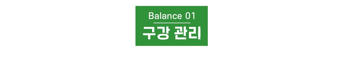 [1+1] 닥터페트라 캣 덴티치카 덴탈트릿 연어맛 70g 12번째