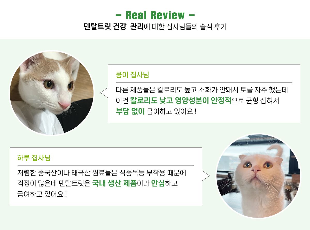 [1+1] 닥터페트라 캣 덴티치카 덴탈트릿 연어맛 70g 26번째