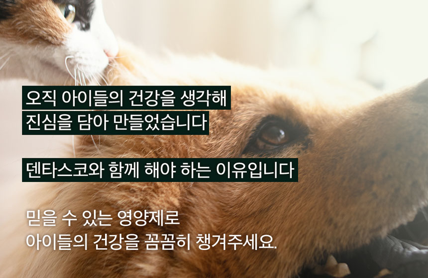 [무료배송] 앤드럭스 캣 덴타스코 구강&덴탈 2g*30포 6번째