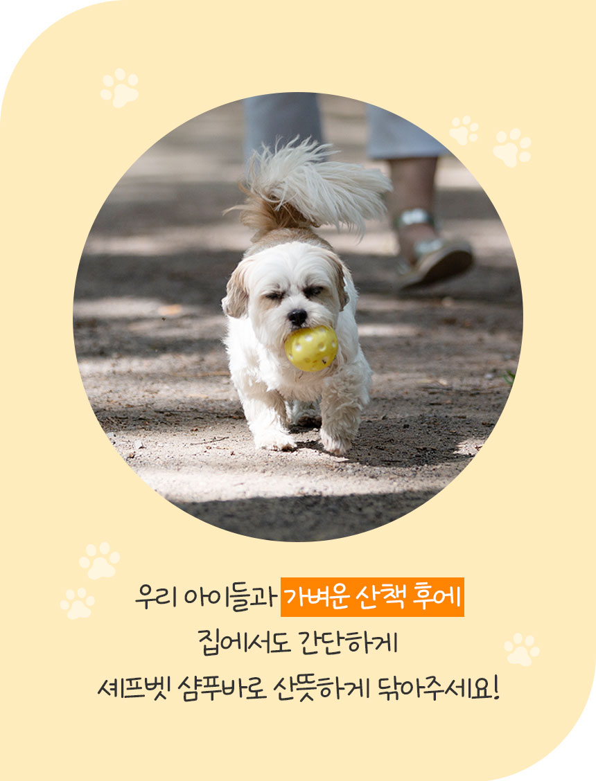 [무료배송] 셰프벳 독 무자극 샴푸바 85g 5번째