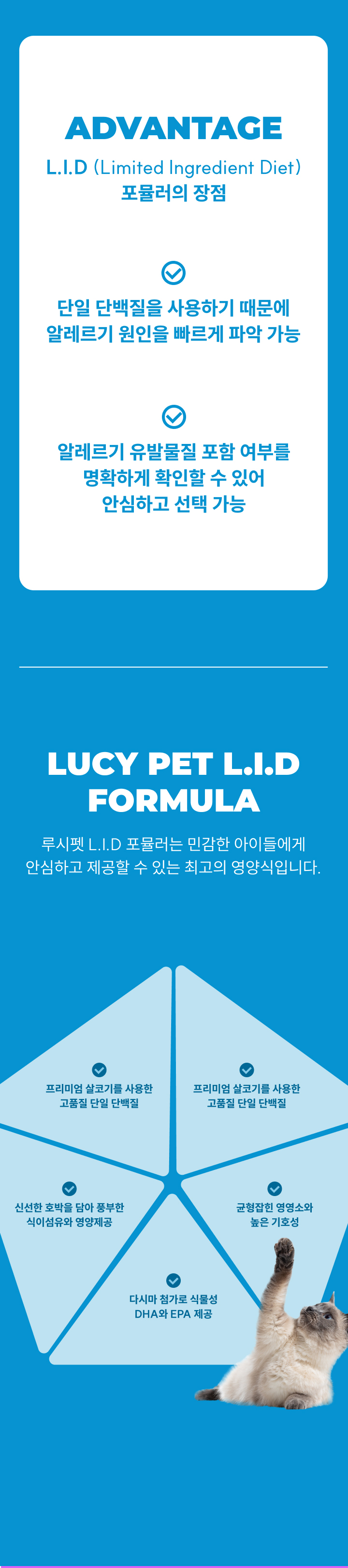 [NEW신상][무료배송] 루시펫 캣 치킨 현미 호박 LID 1.8kg 4번째