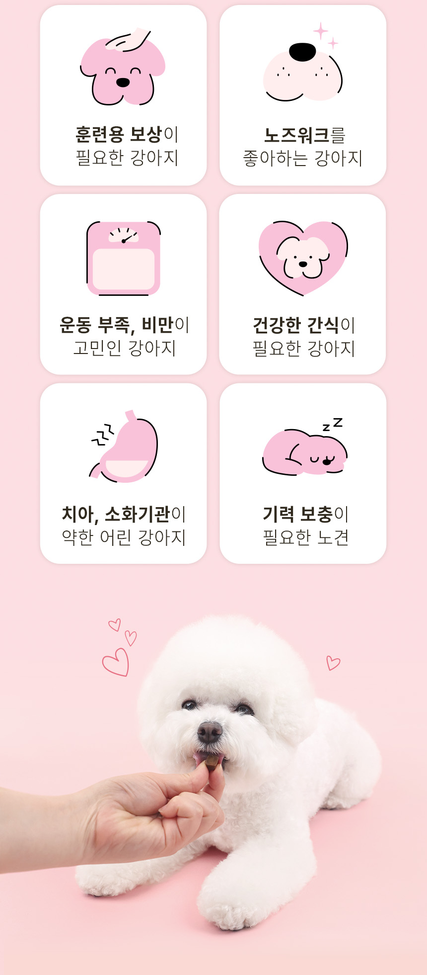 [NEW신상][무료배송] 한입뚝딱 프리미엄 쫄깃 져키 큐브 강아지 육포 150g*3개 8번째