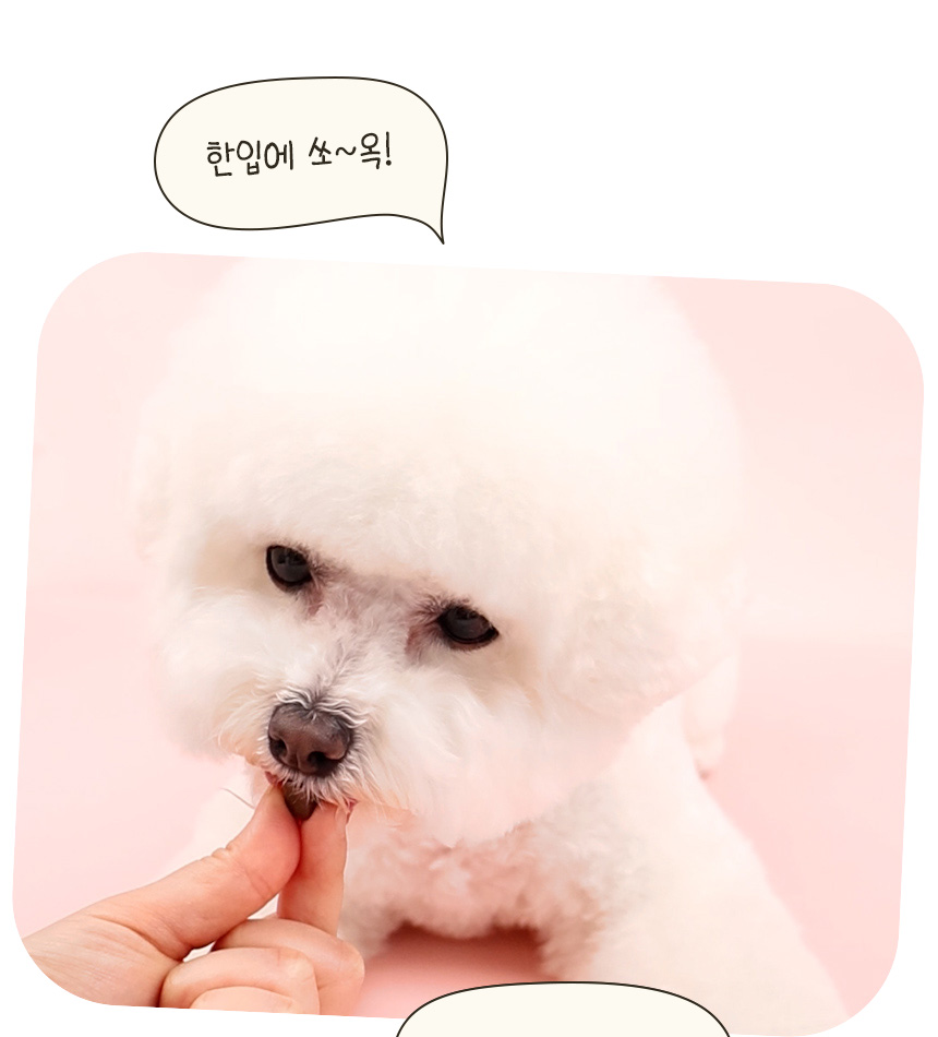 [NEW신상][무료배송] 한입뚝딱 프리미엄 쫄깃 져키 큐브 강아지 육포 150g*3개 18번째