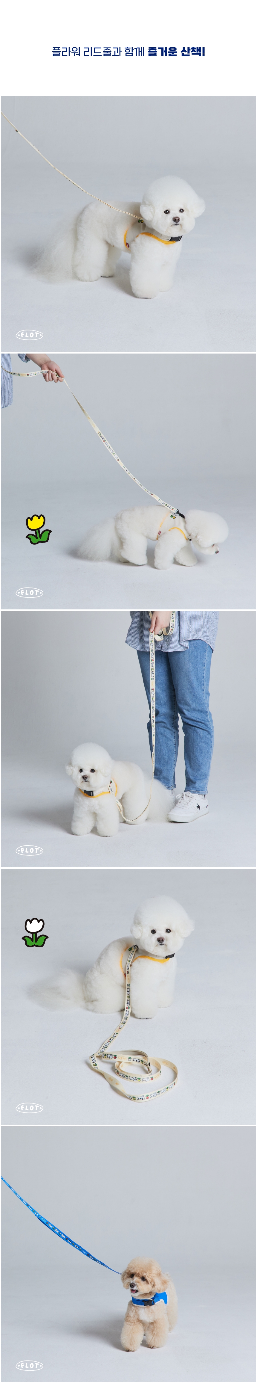 [NEW신상][무료배송] 플로트 플라워 안전버클 하네스 2종 (베이지/블루) S-XL 8번째