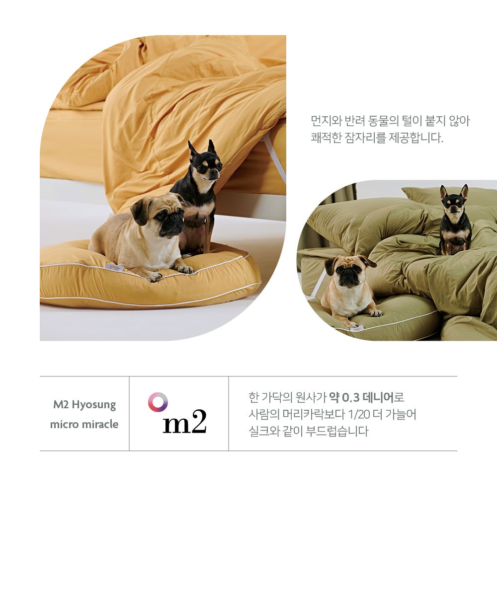 [무료배송] 깃든 털이 박히지 않는 나란히 알러지케어 애견방석세트 9종 7번째