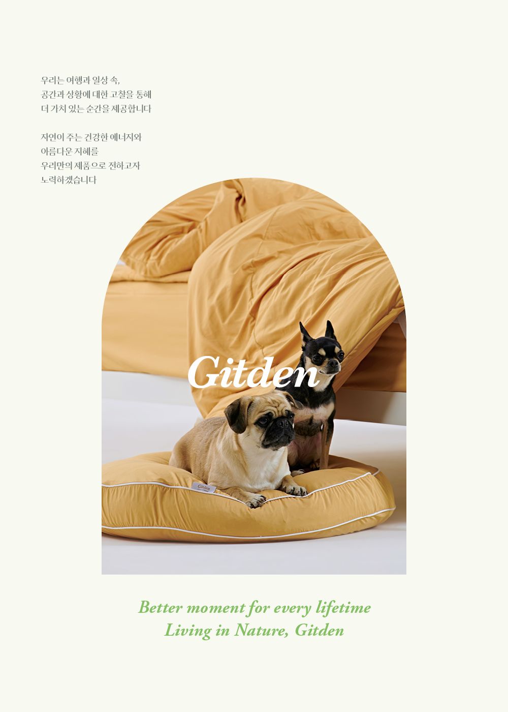 [무료배송] 깃든 털이 박히지 않는 나란히 알러지케어 애견방석세트 9종 1번째