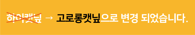 집에가야돼 고양이 애착인형 꼼이 1번째