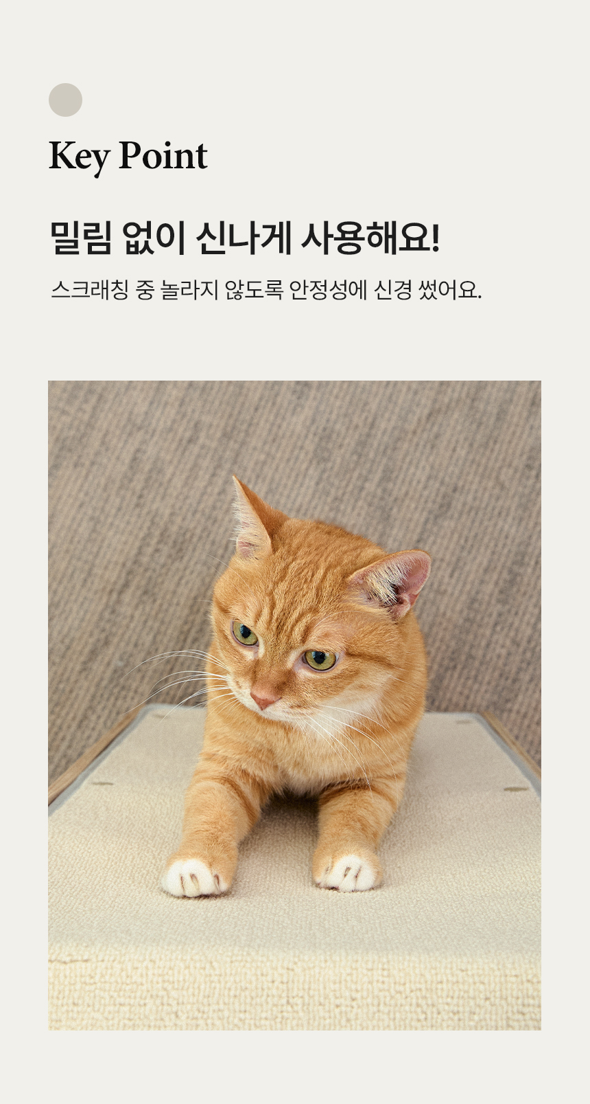 [NEW신상][무료배송] 세이펫 스크래쳐 리필 삼각 하우스 시즈스크래쳐 A1 5번째