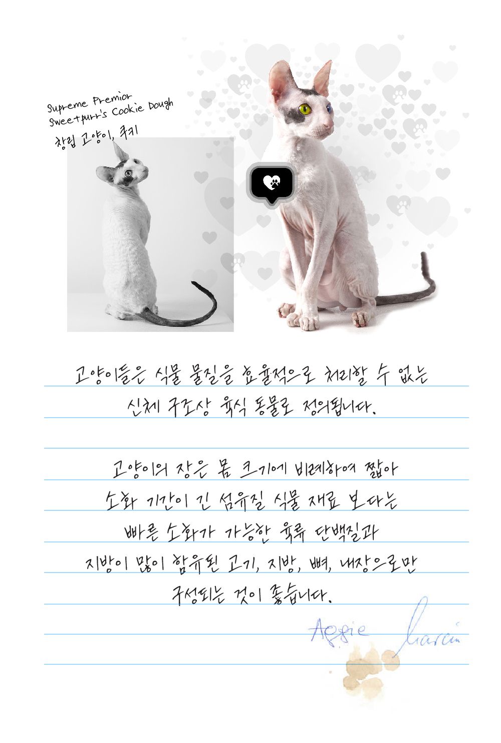 쓰리코티 캣 컴플리트 칠면조&오리 80g 3번째