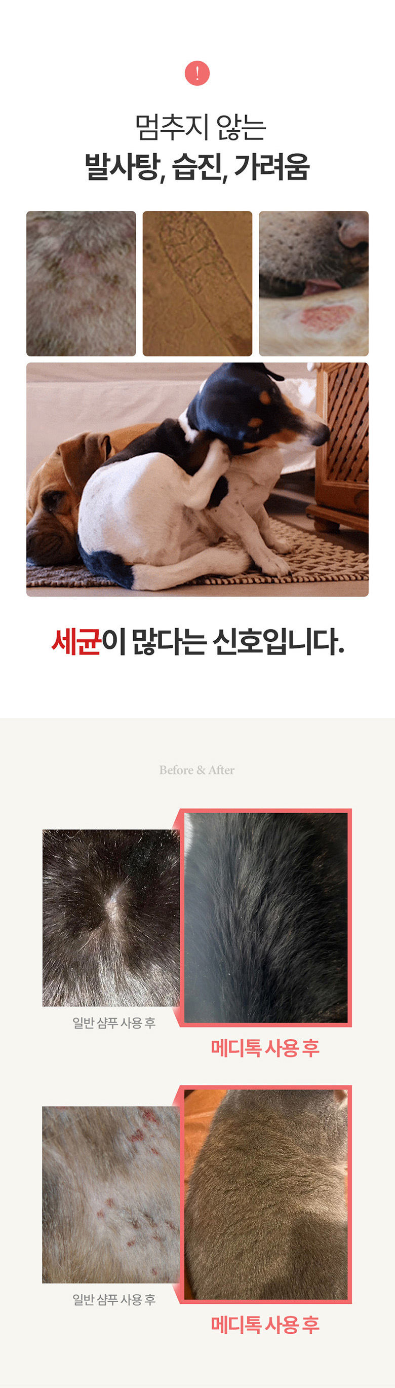 [NEW신상][무료배송] 베픈 클로시딘 발사탕 완화 항균 메디톡 샴푸 200ml 3번째