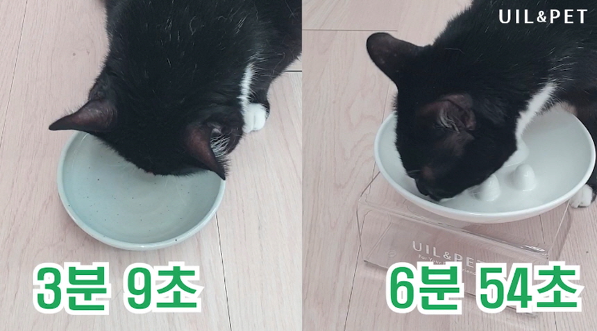 [무료배송] 유일앤펫 참참볼 급체방지 슬로우식기 5종 1번째