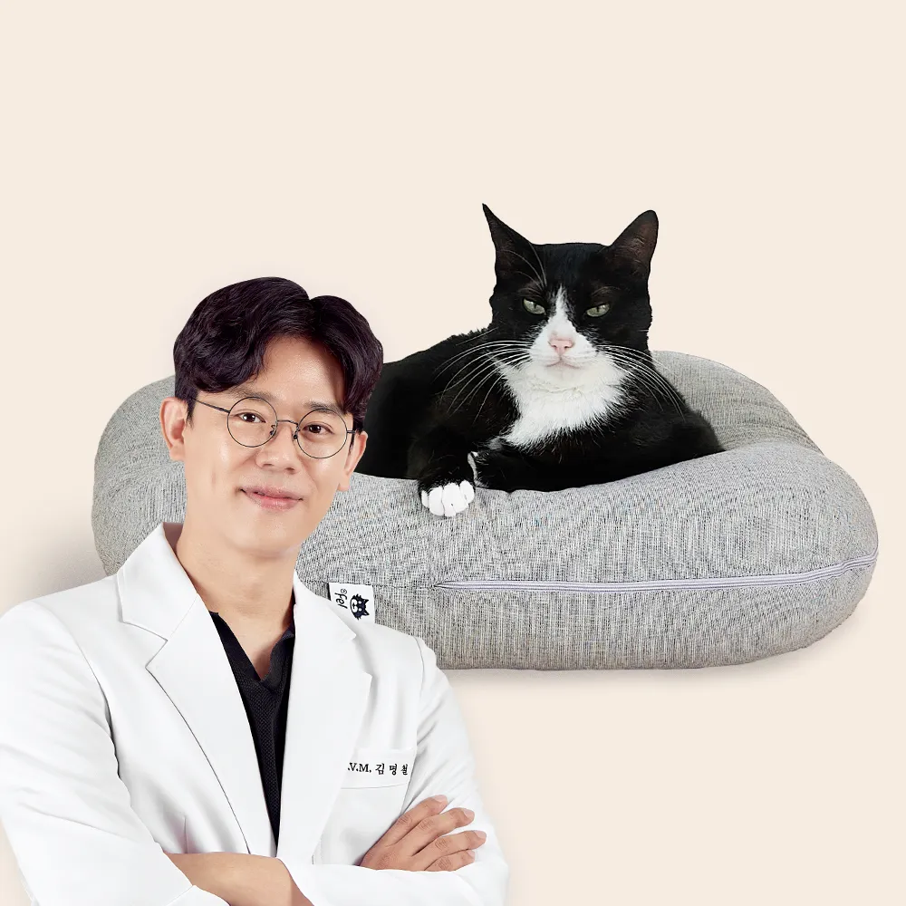 [리뉴얼] 닥터펠리스 포캣네스트 그레이/브라운 + 미니 러빙매트 증정