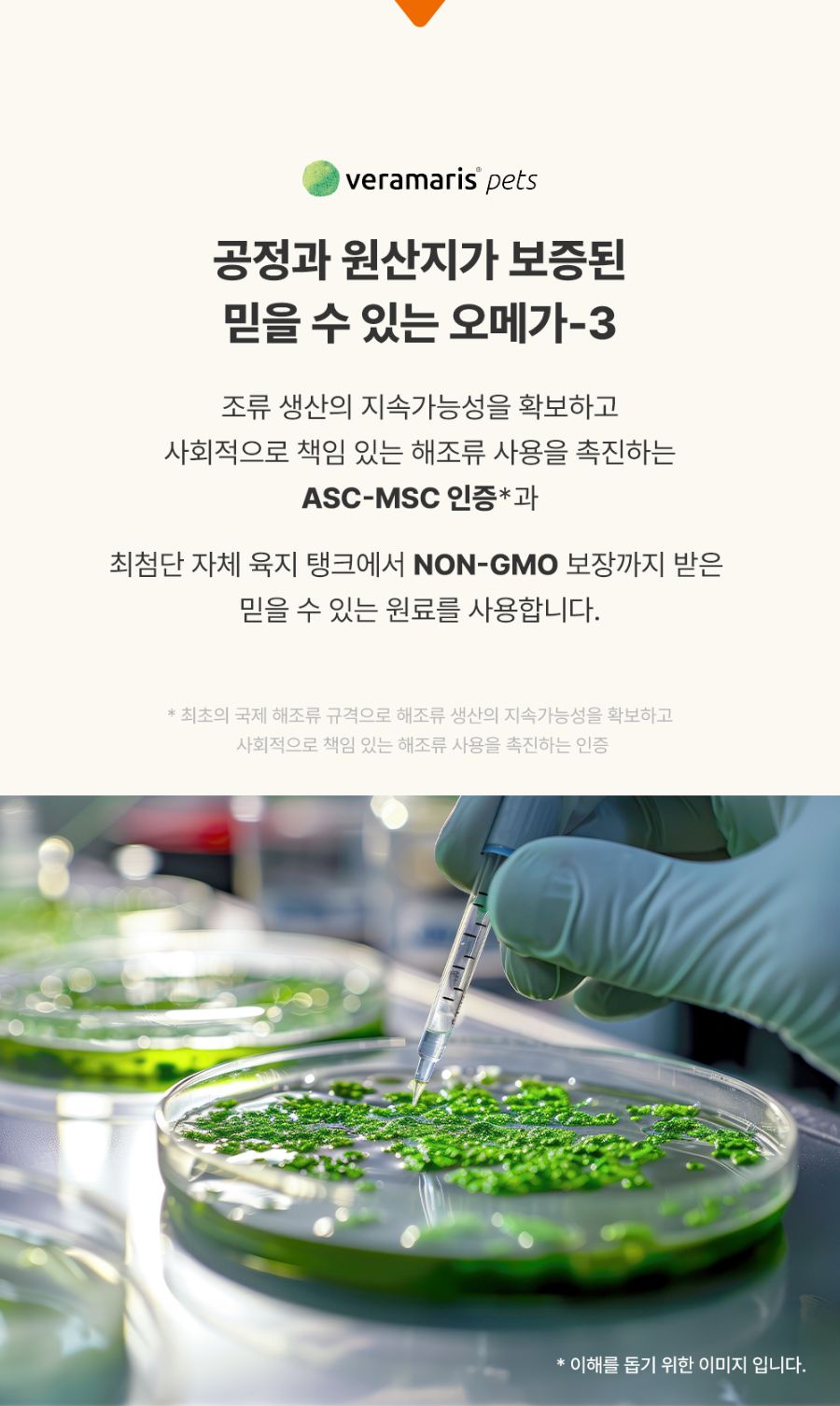 조공 이지 케어 오메가3 8g*10ea 19번째