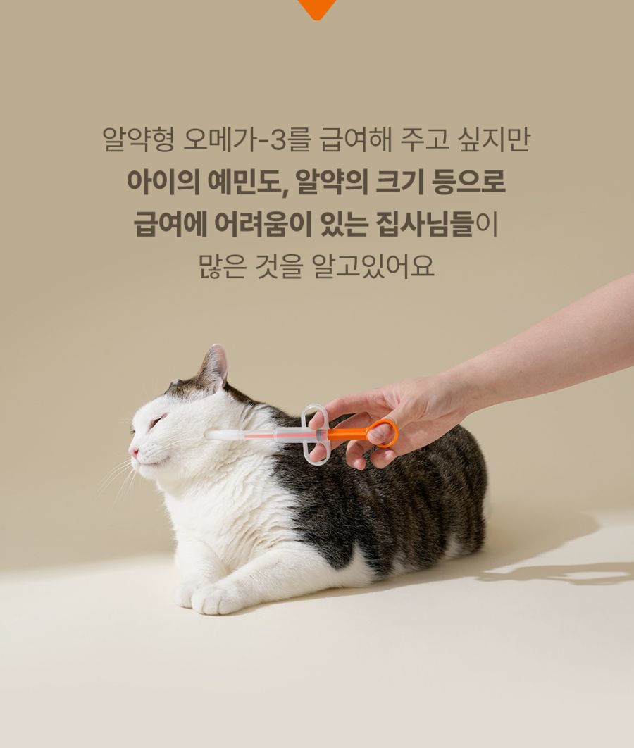 조공 이지 케어 오메가3 8g*10ea 22번째