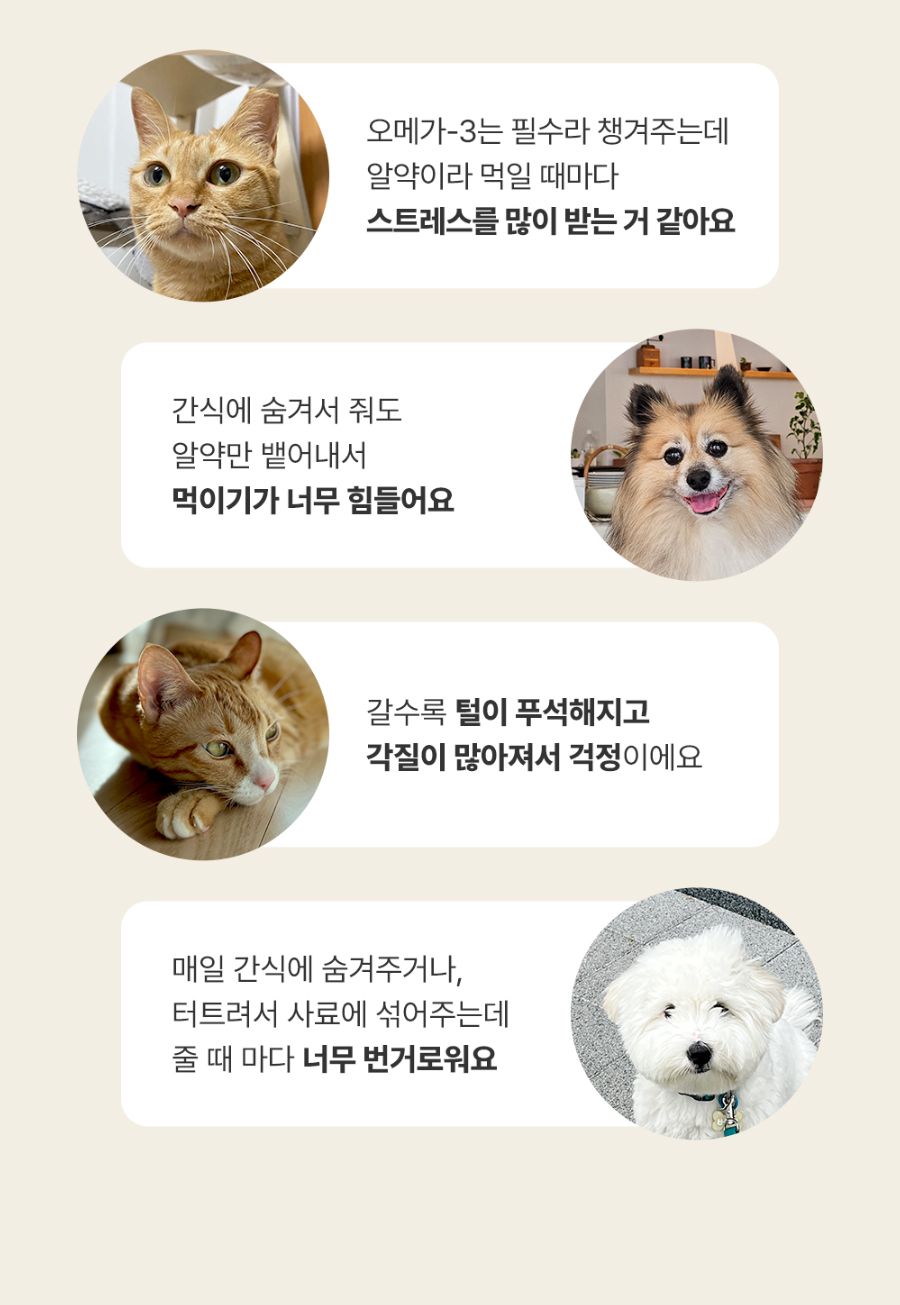 조공 이지 케어 오메가3 8g*10ea 13번째