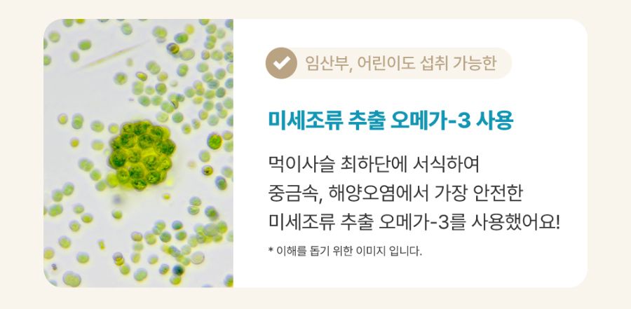 조공 이지 케어 오메가3 8g*10ea 8번째