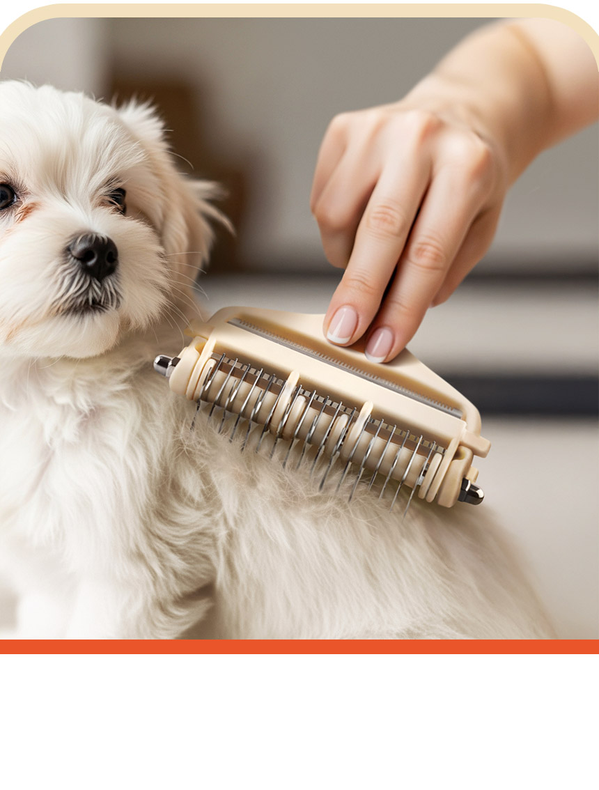 [NEW신상][무료배송] 바비온 4in1 반려동물 엉킨털 죽은털 제거 포밍 브러쉬 104R 8번째