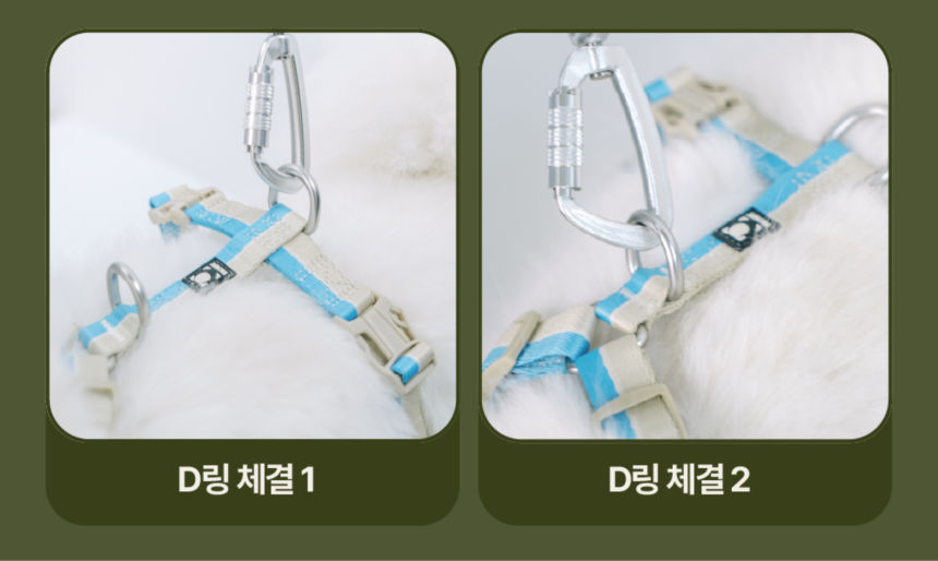 [무료배송] 하웃 세이프락 콤보 강아지 하네스 리쉬 리드줄 세트 앞섬방지 H형 29번째