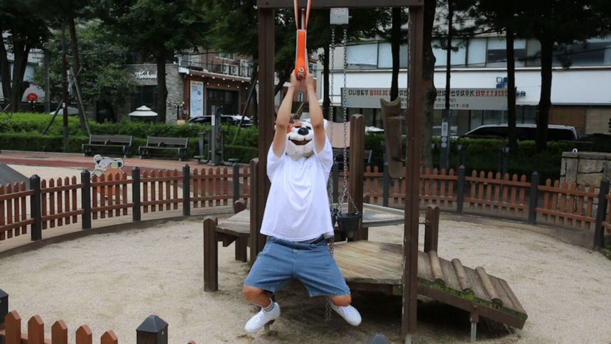 [무료배송] 하웃 세이프락 콤보 강아지 하네스 리쉬 리드줄 세트 앞섬방지 H형 17번째