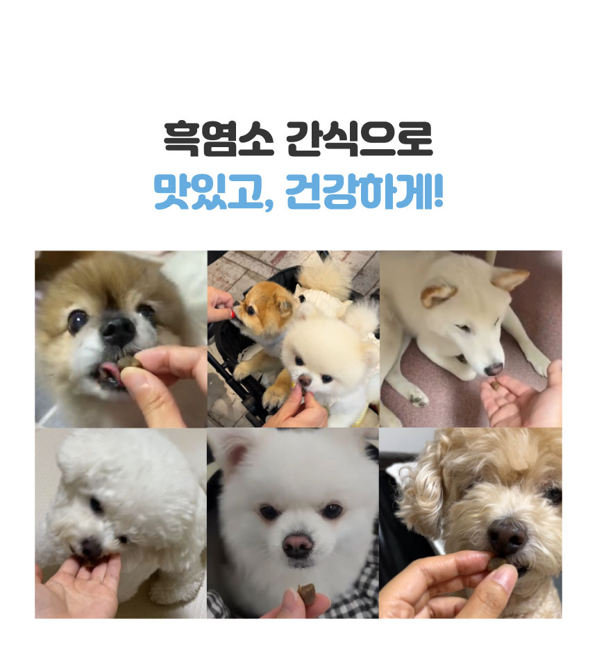 [NEW신상][무료배송] 메이드인랩X천호엔케어 흑염마을 강아지 황태 트릿 350g 2번째