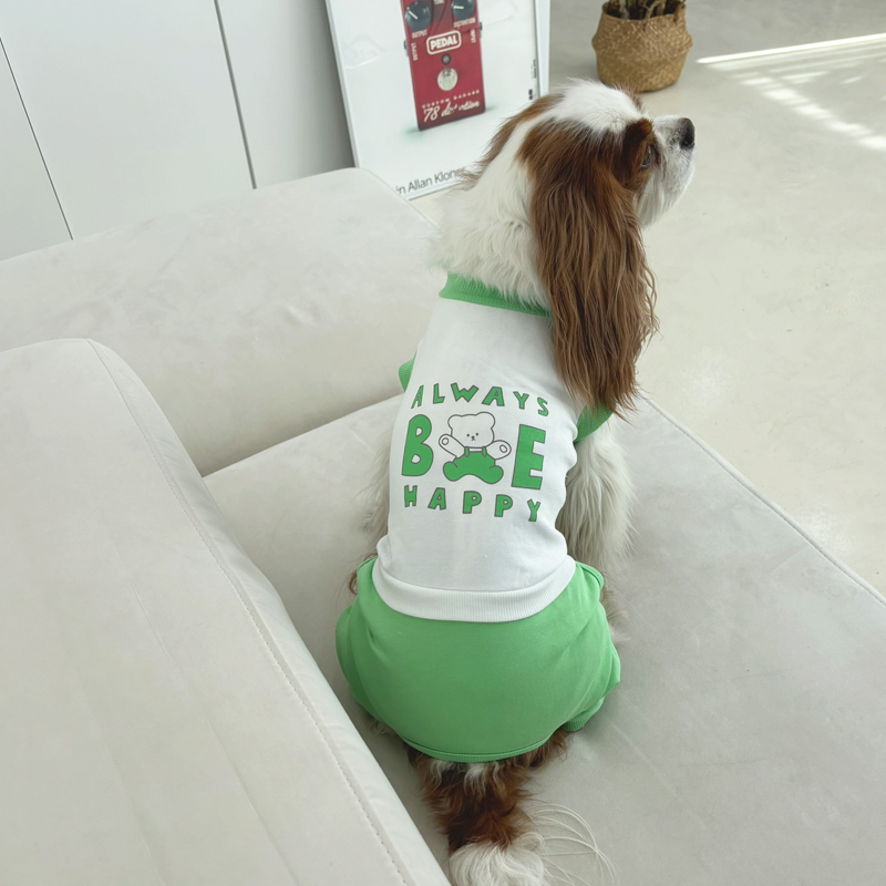 [무료배송] 해피댕댕 트레이닝나시올인원 XS - 2XL 6번째