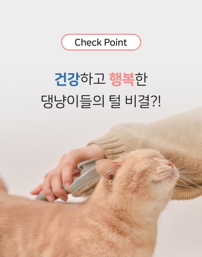 [체험단] [무료배송] 행복한댕냥이 반려동물 원터치 브러쉬 슬리커빗 블루 17번째