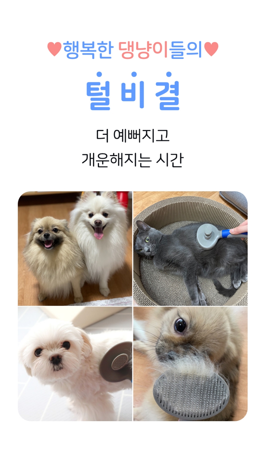 [체험단] [무료배송] 행복한댕냥이 반려동물 원터치 브러쉬 슬리커빗 블루 6번째