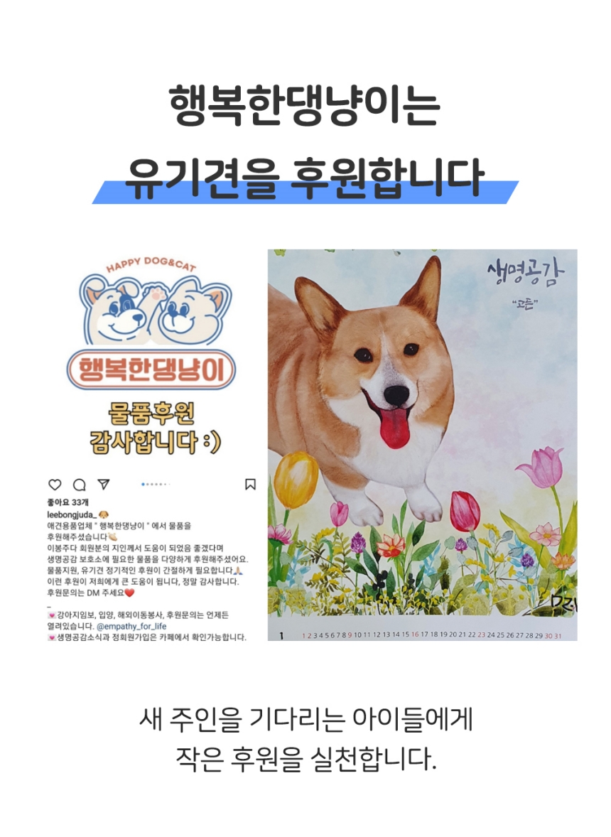 [체험단] [무료배송] 행복한댕냥이 반려동물 원터치 브러쉬 슬리커빗 블루 29번째