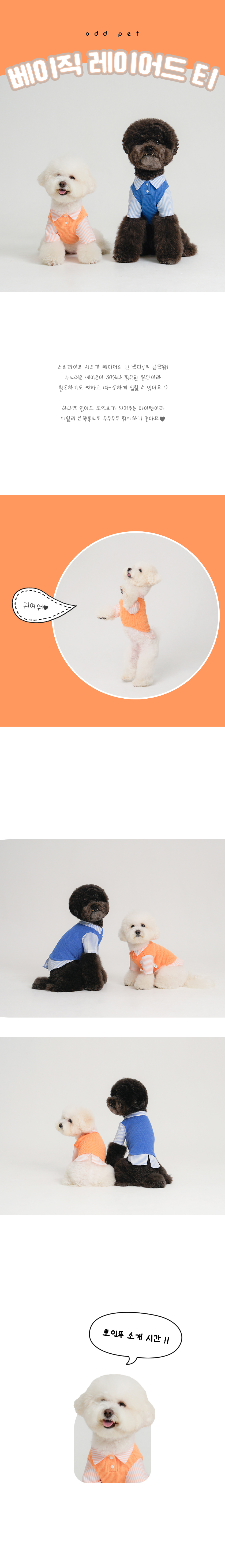 [무료배송] 오드펫 베이직레이어드티 블루/오렌지 S-XL 1번째