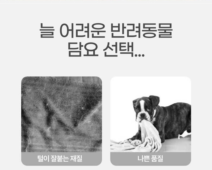 [무료배송] 보드미펫 반려동물 이불 민트/핑크/옐로우 M-XL 2번째