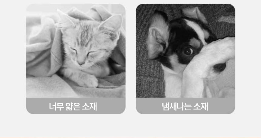 [무료배송] 보드미펫 반려동물 이불 민트/핑크/옐로우 M-XL 3번째