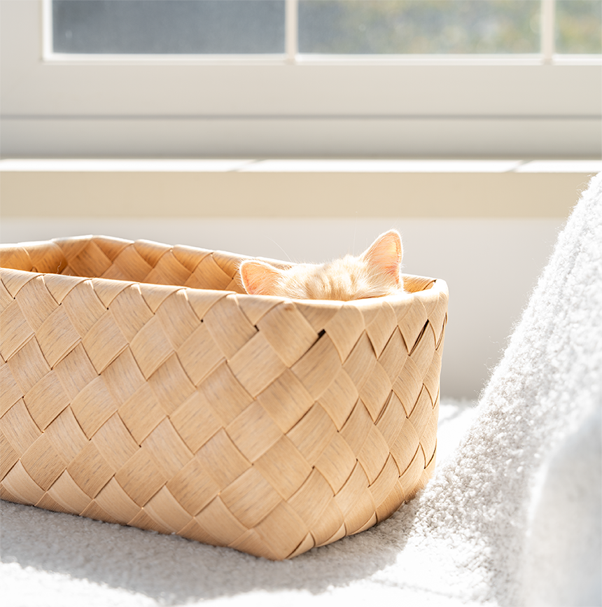 [NEW신상][무료배송] 큐빅스펫 워셔블 바스켓 숨숨집 2color 21번째